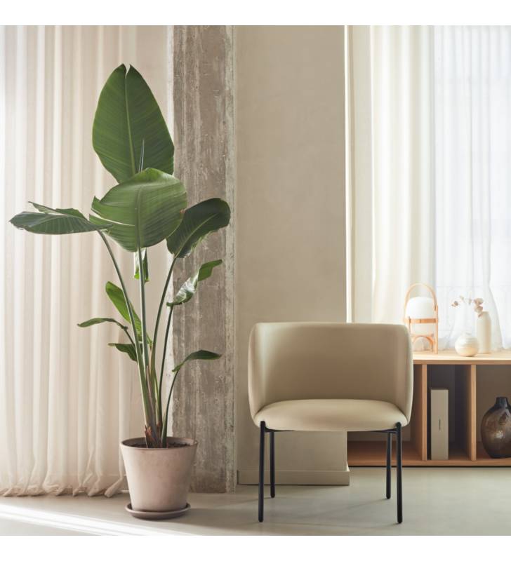 Butaca Mogi color beige Topmueble