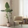 Butaca Mogi color beige Topmueble