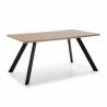 Mesa comedor rectangular 160 Agatha Top Mueble