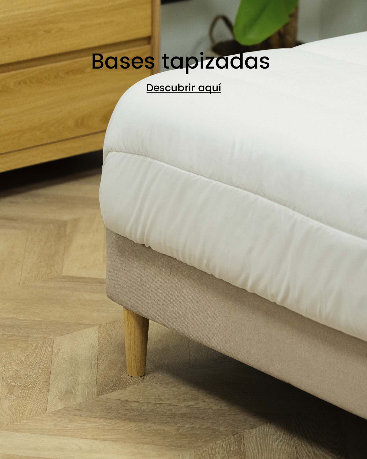 Bases Tapizadas | Top Mueble