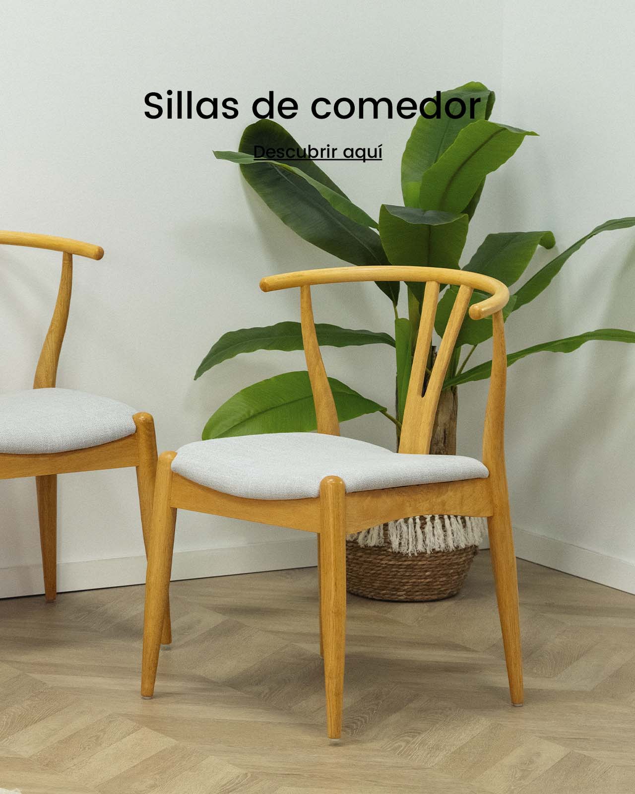 Sillas de Comedor | Top Mueble